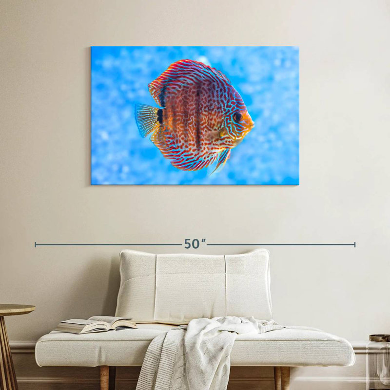 Brampt Freshwater Discus Fish, 26" H x 39" W