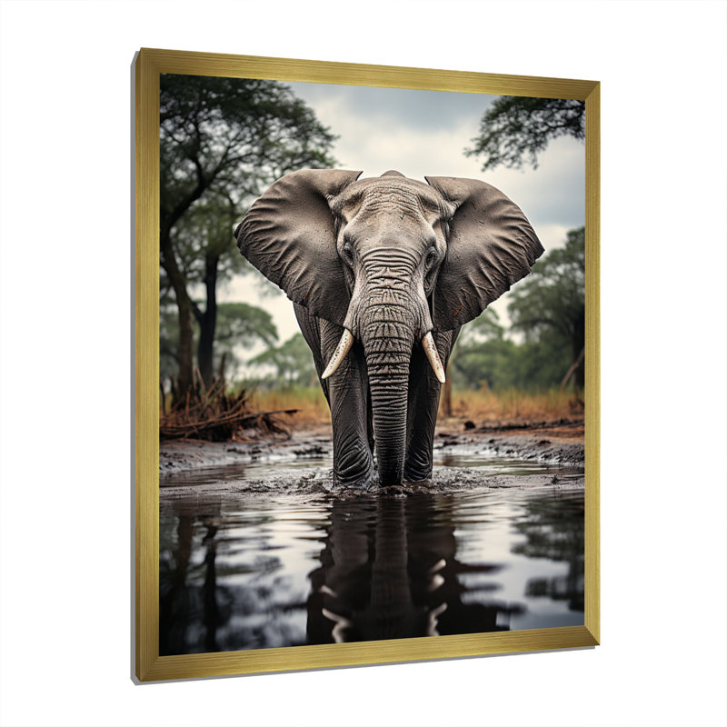 Bellatti Elephant Majestic Reflections - reproduction sur toile, Encadrement doré, H 40 po x l 30 po x P 1,5 po