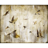 Sunset Flight Print by Zoey Riley