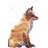 " Red Fox "