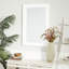 Miroir mural-1760727356-1760727361