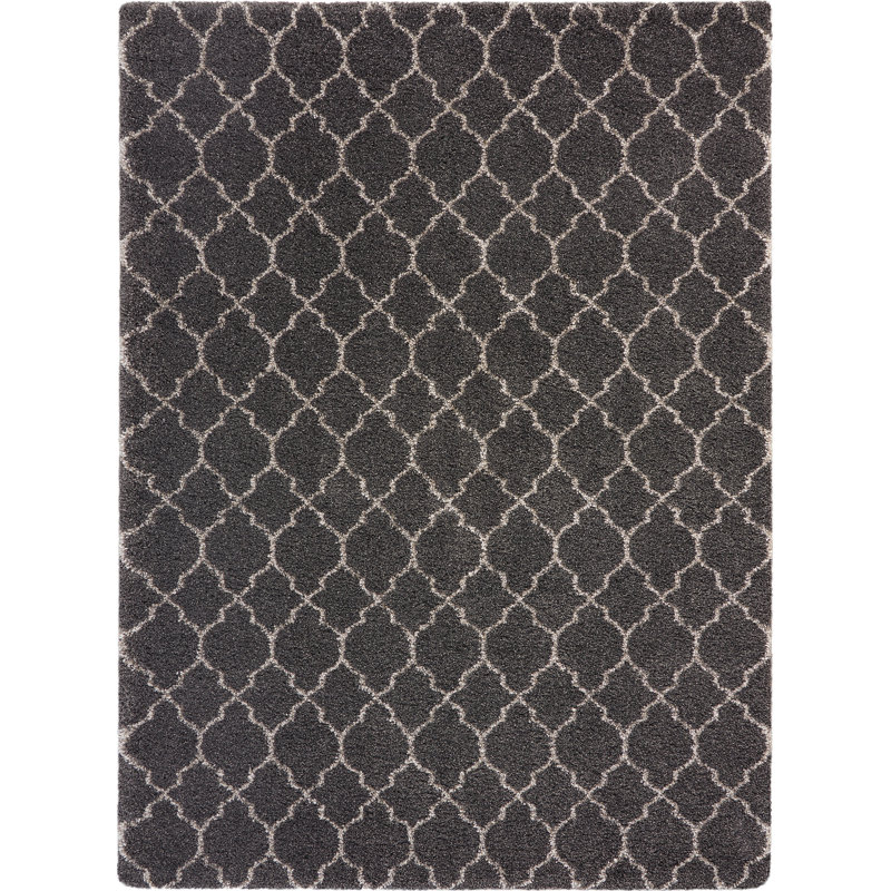 Youn Moroccan Indoor Rug, Rectangle 7'10" x 10'10"