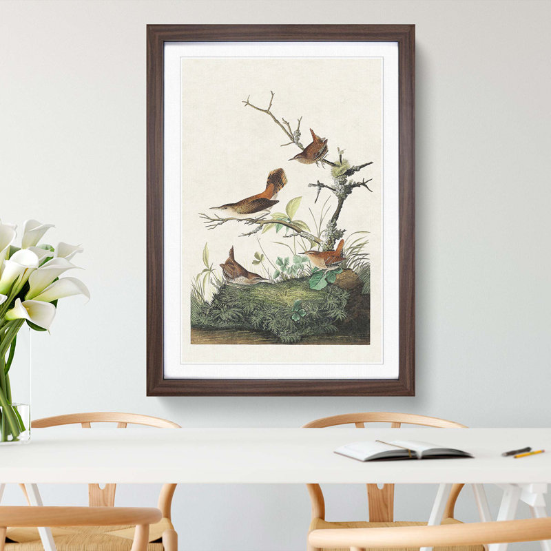 Wrens by John James Audubon - Picture Frame Painting Print, 48cm H x 36cm W x 2cm D, Walnut Framed