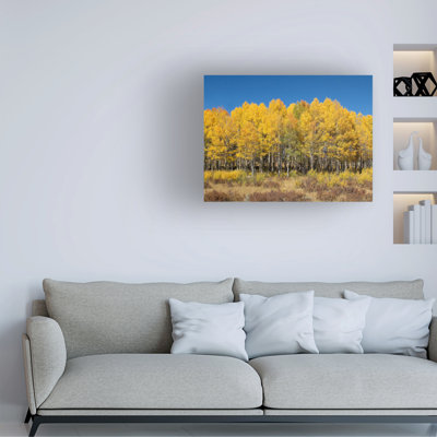 Art sur toile, bolognaise, Kent Kent