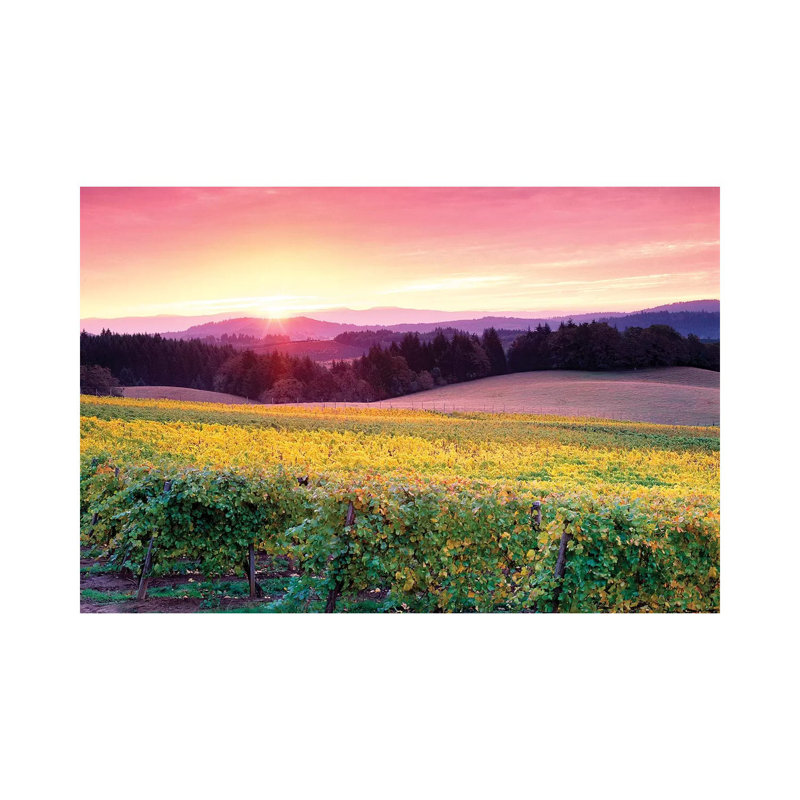 Vineyard Sunrise 1 Piece Wrapped Canvas Wall Art, 20.32cm H x 30.48cm W