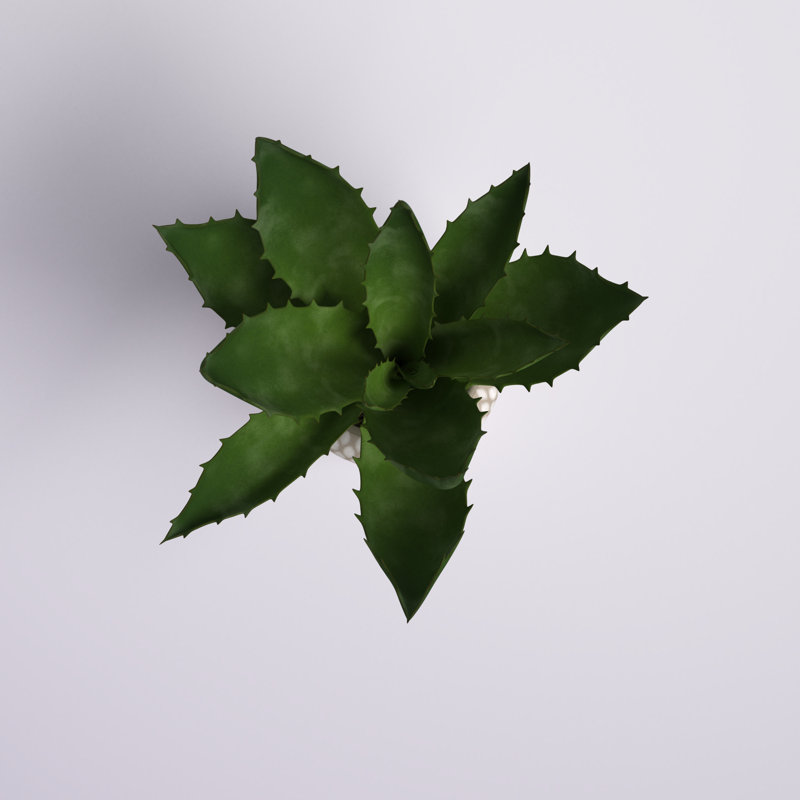 Plante grasse artificielle 7 "en pot