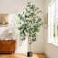 Ficus artificiel d'intérieur, grand ficus artificiel de 7 pi avec jardinière noire et fausse mousse verte, plantes artificielles avec tronc en bois naturel et fruits réalistes pour la décoration de bureau personnel-453720653-453720654