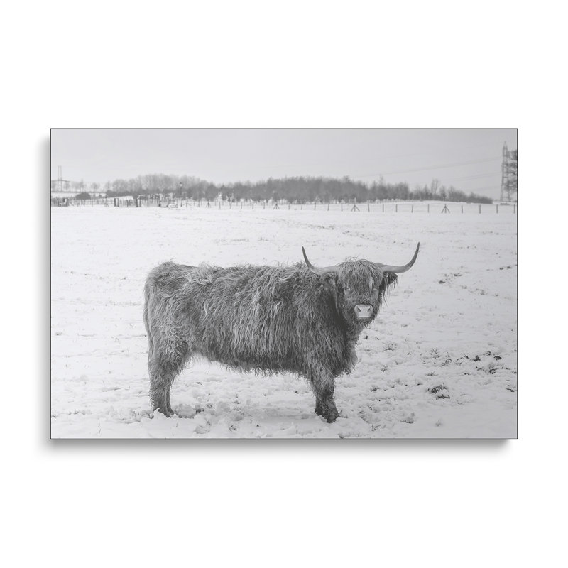 Impression sur toile, "Stefieldix" par Assaf Frank