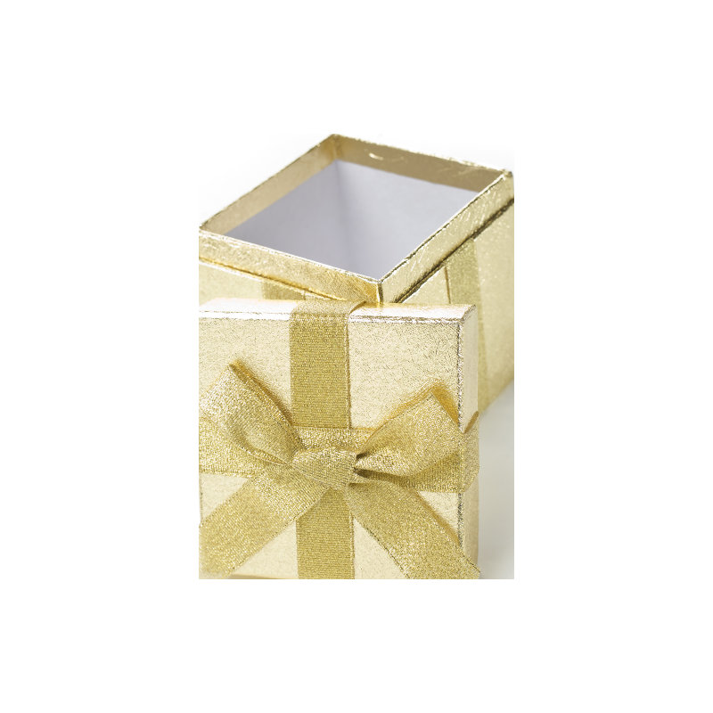 SP13180 Boîte de cadeau ouverte de Noël