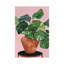 Impression d’art graphique Calatheas par Bria Nicole-53806362-53806360-53806370