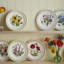Assiettes plates 10 po, ensemble de 6