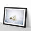 Resting Arctic Fox - Framed Print-56758843-56758848
