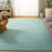 Loft 300 Performance Machine Washable Solid Color Rug-1149734672