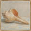 «Minimal Coastal Seashell Still Life Soft Neutral Tones», reproduction d'art sur toile encadrée-70597801-70597805