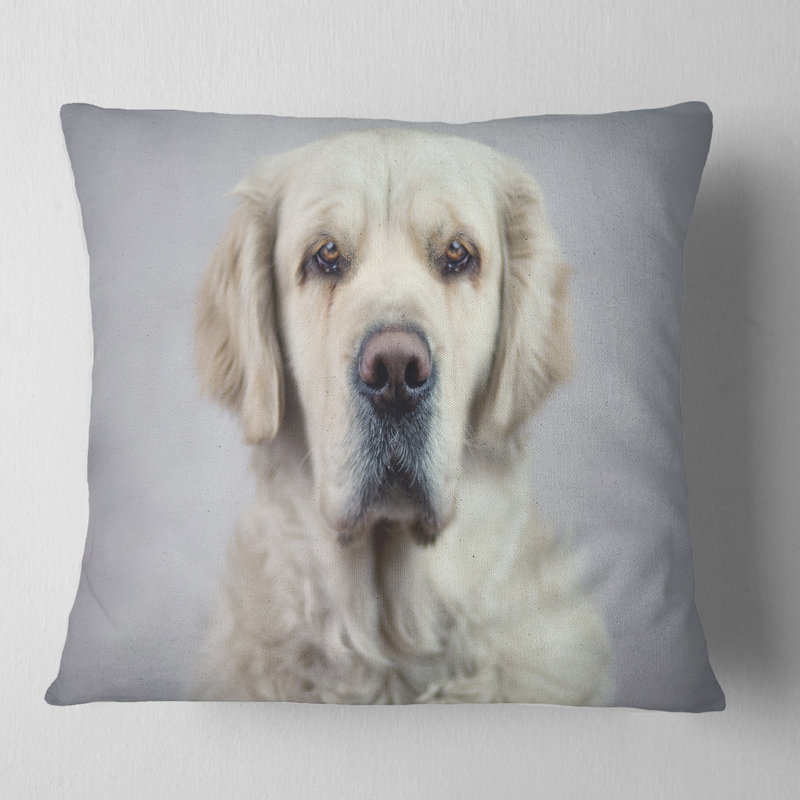 Sad Sad Beautiful Dog - Coussin imprimé animal, 18 po x 18 po, Coussin décoratif