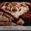 Couverture Liriano Winter Wram
