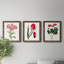 Roseat Blooms I - ensemble de 3 peintures sur toile encadrées-828588948-828588949