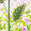 Piquet de jardin 41 po H 41 po-1011995636