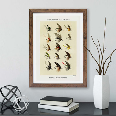 Trout Fishing Flies Version 8 by Mary Orvis Marbury - Framed Print