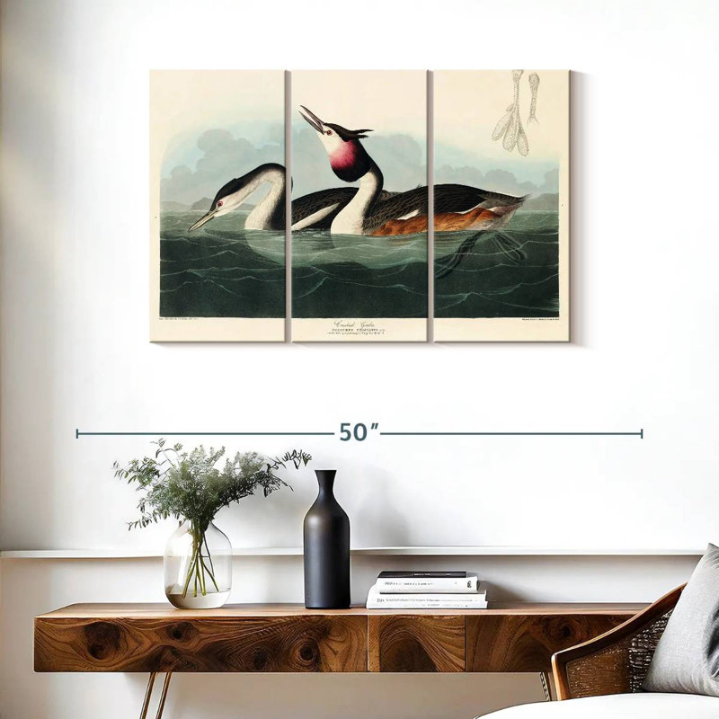 Brampt Crested Grebe, 24" H x 38" W