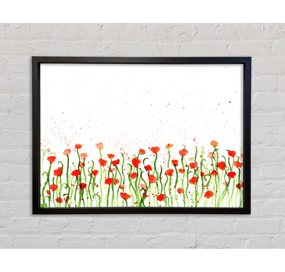 Roter Mohn Garten Splash - Einzelner Bilderrahmen Kunstdrucke auf Leinwand