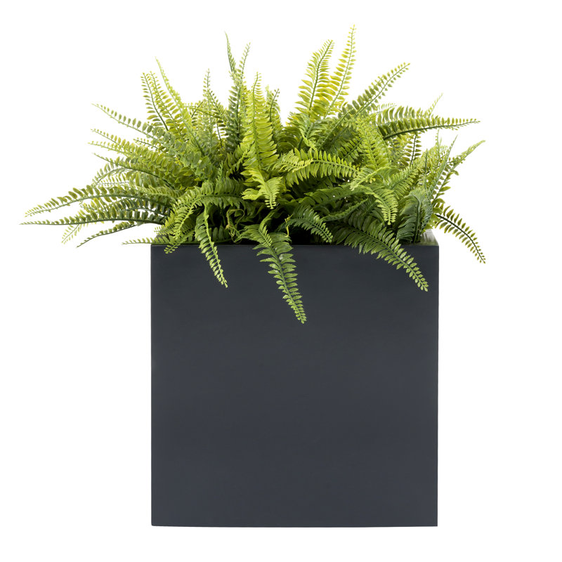 Boîte à fleurs en fibre de verre Lorsworth, Gris, H 20 po x l 20 po x P 20 po