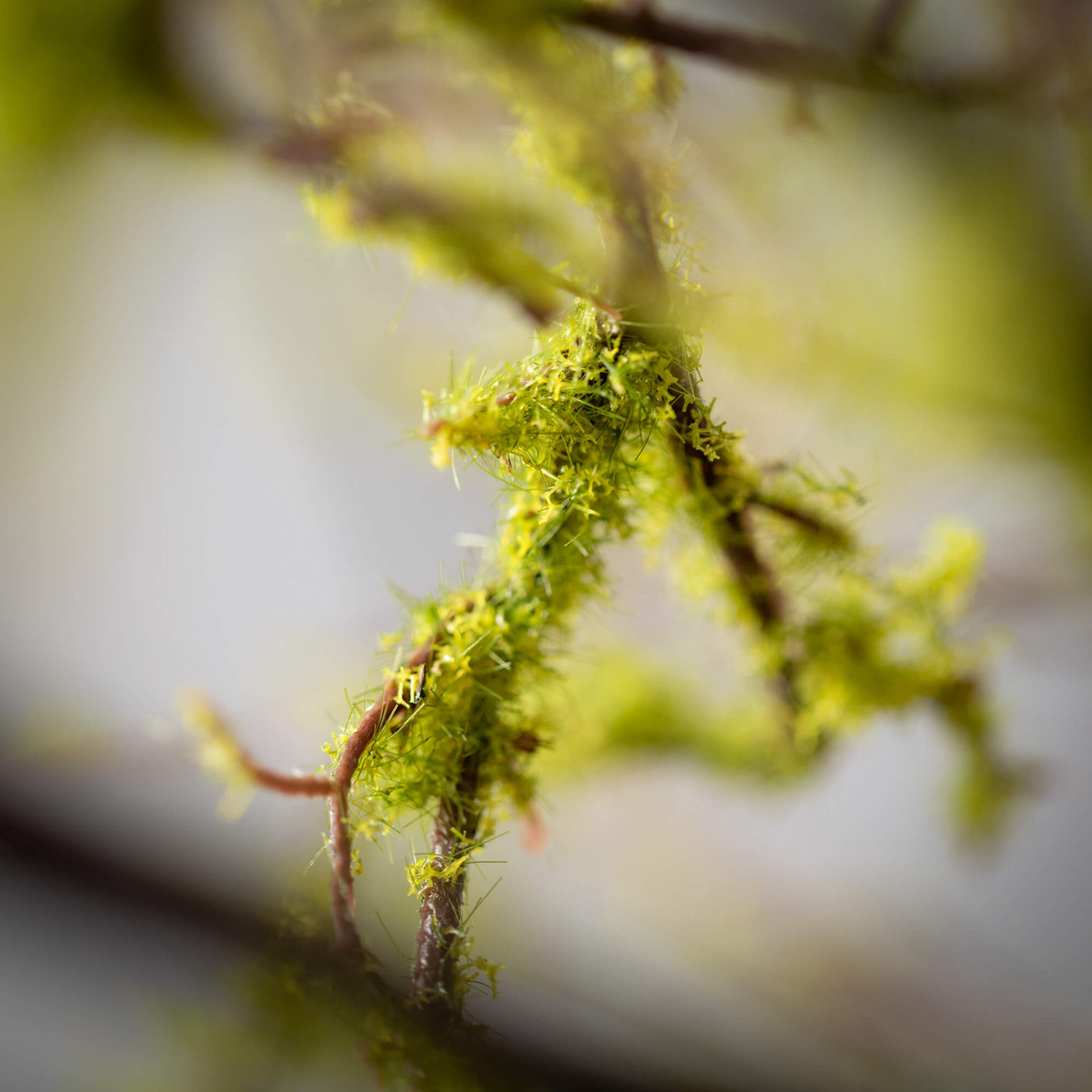 42'' Faux Moss Branch
