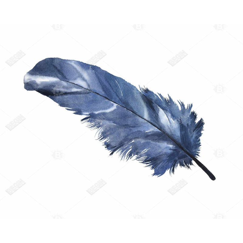 " Blue Feather "