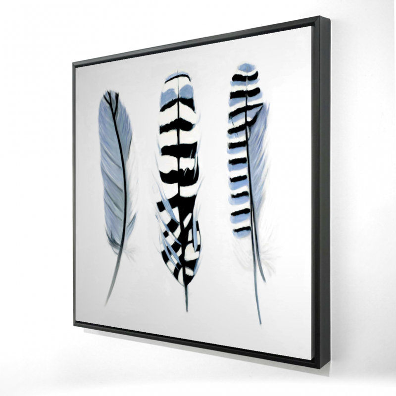 «Plumes délicates»