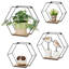 Almore Floating Shelf