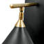Summerdale Iron Armed Sconce