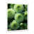 Cadre simple blanc