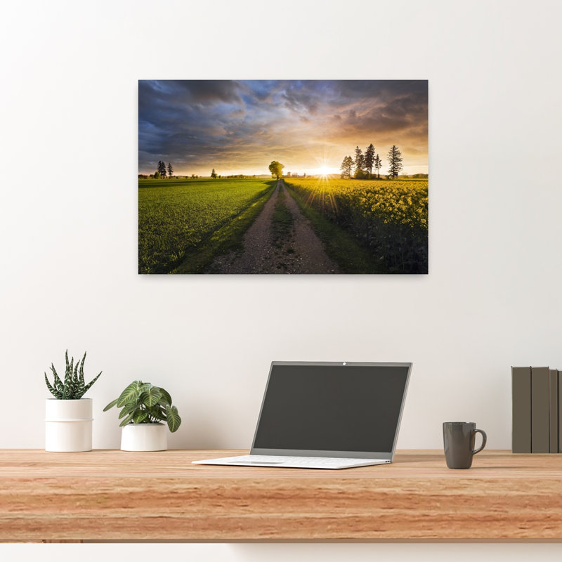 «Summer Meadow Abstract Contemporary Landscape Plant», reproduction d'art murale, H 16 po x l 24 po