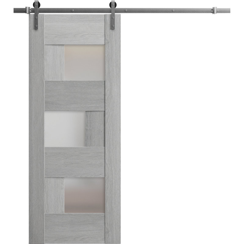 Ensemble de porte de grange robuste en verre givré de 6,6 pi Sete, 42 po x 96 po, Blanc