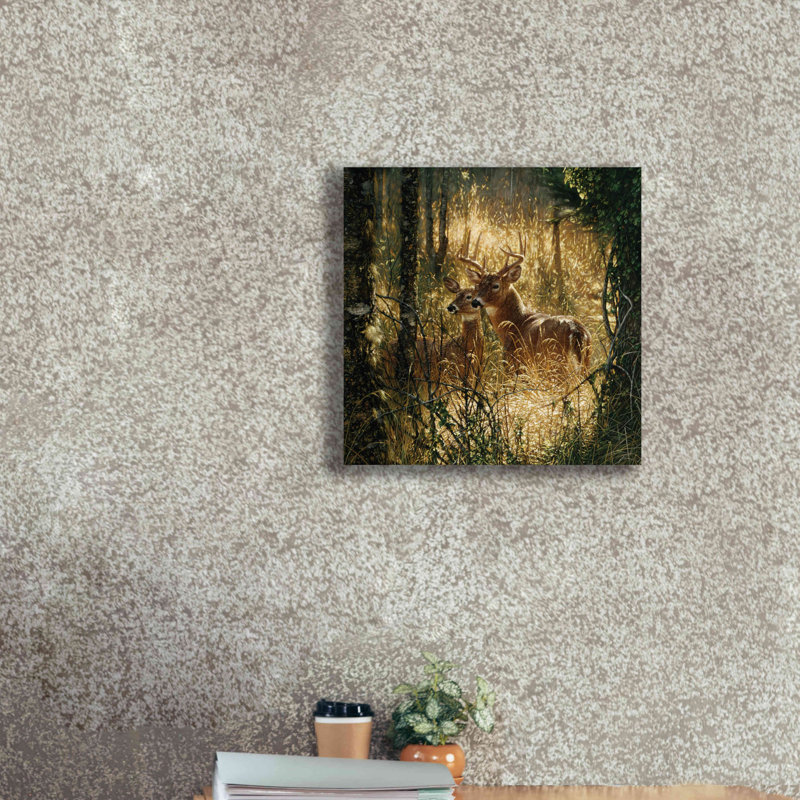 «A Golden Moment» par Collin Bogle, art mural sur toile, H 18 po x l 18 po x P 0,5 po