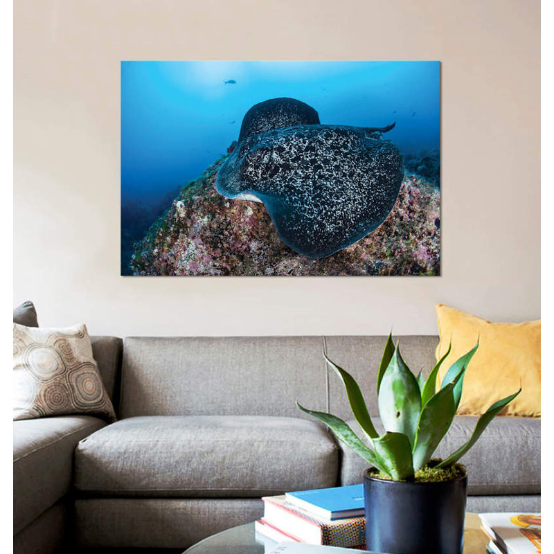 Reproduction de photo sur toile à partir d’un grand dory noir qui nage sur le plancher de roche, H 26 po x l 40 po x P 1,5 po