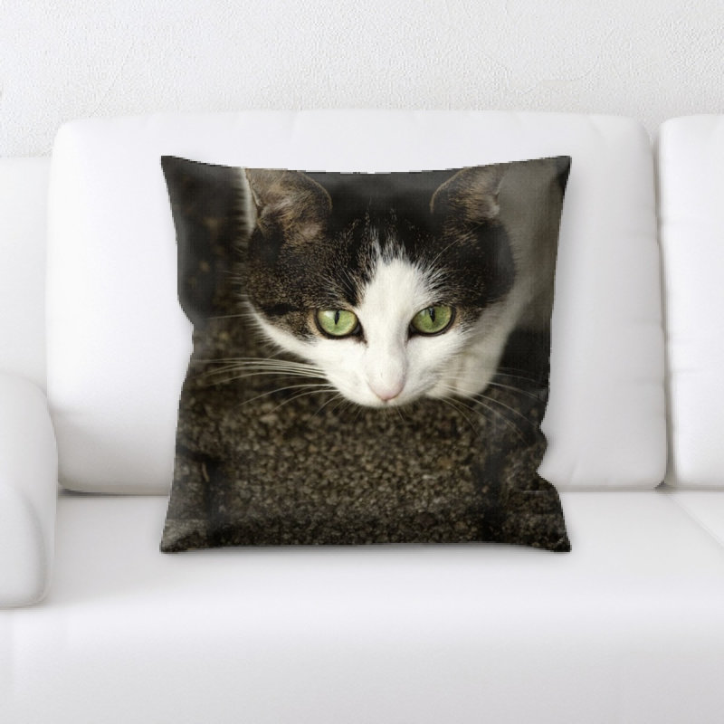 Coussin pour chat
