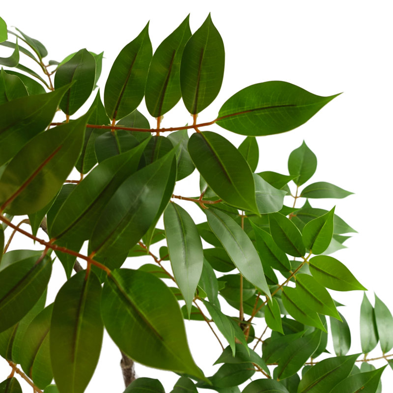 Anjeli Faux Foliage Plant in Pot, 110cm x 60cm
