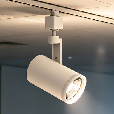 1 projecteur sur rail DEL 5CCT à intensité variable 20W/15W/10W avec halo blanc (1 unité)