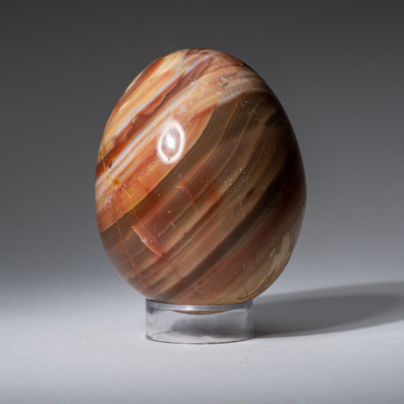 Genuine Polished Polychrome Egg from Madagascar (0.92 Lbs)