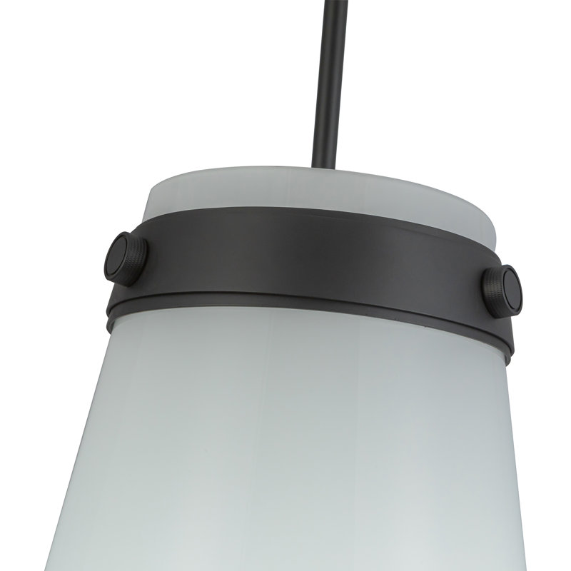 Luminaire suspendu 1 lumière Lucia de 12 po de diamètre Lucai, Noir