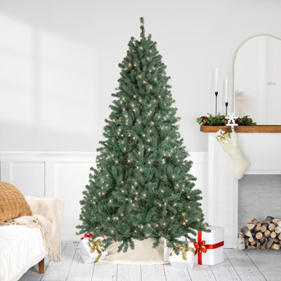 7' 6" H Blue Spruce Flocked/Frosted Christmas Tree with 550 Incandescent Lights