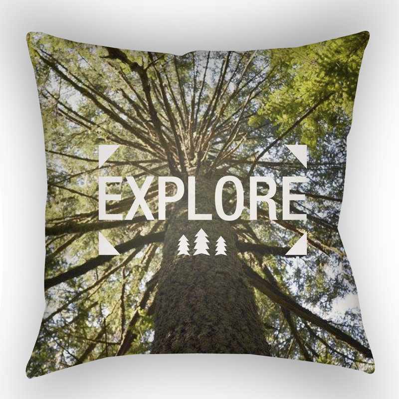 Coussin décoratif intérieur/extérieur vert, H 18 po x l 18" x P 4 po