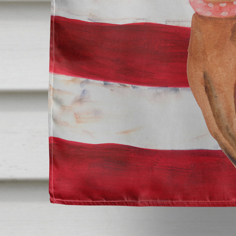 Drapeau de maison en polyester à 2 côtés Shahnur, Pinscher miniature brun