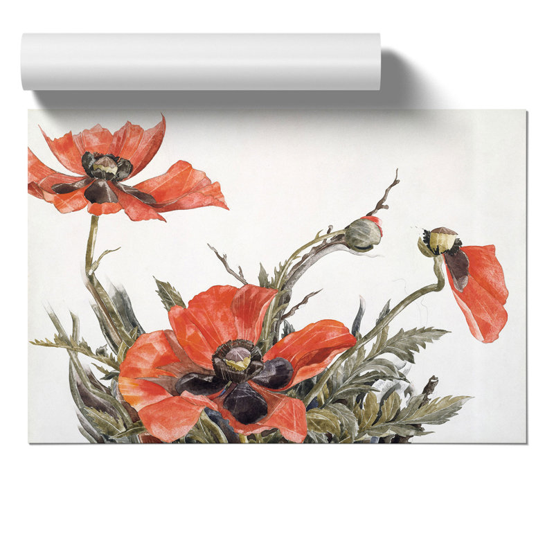 Red Poppies by Charles Demuth - Frameless Print, 21cm H x 30cm W x 0.1cm D