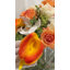 Pièce maîtresse de l'Action de grâce: lis calla orange et roses blanches