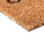 Non-Slip Indoor Doormat