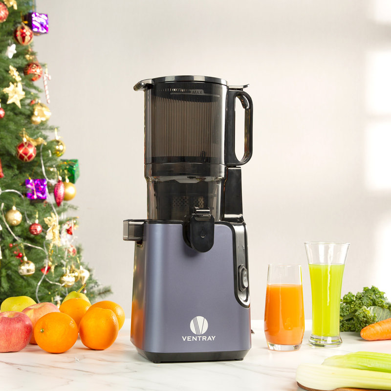 Ventray Purple Electric Masticating Juicer with Large Feed Chute