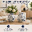 Vase de table Dinita