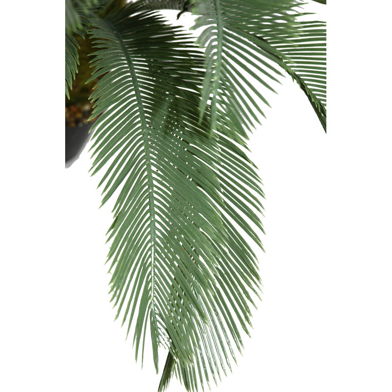 Grand palmier Panama Cycas en pot, Noir / Bronze